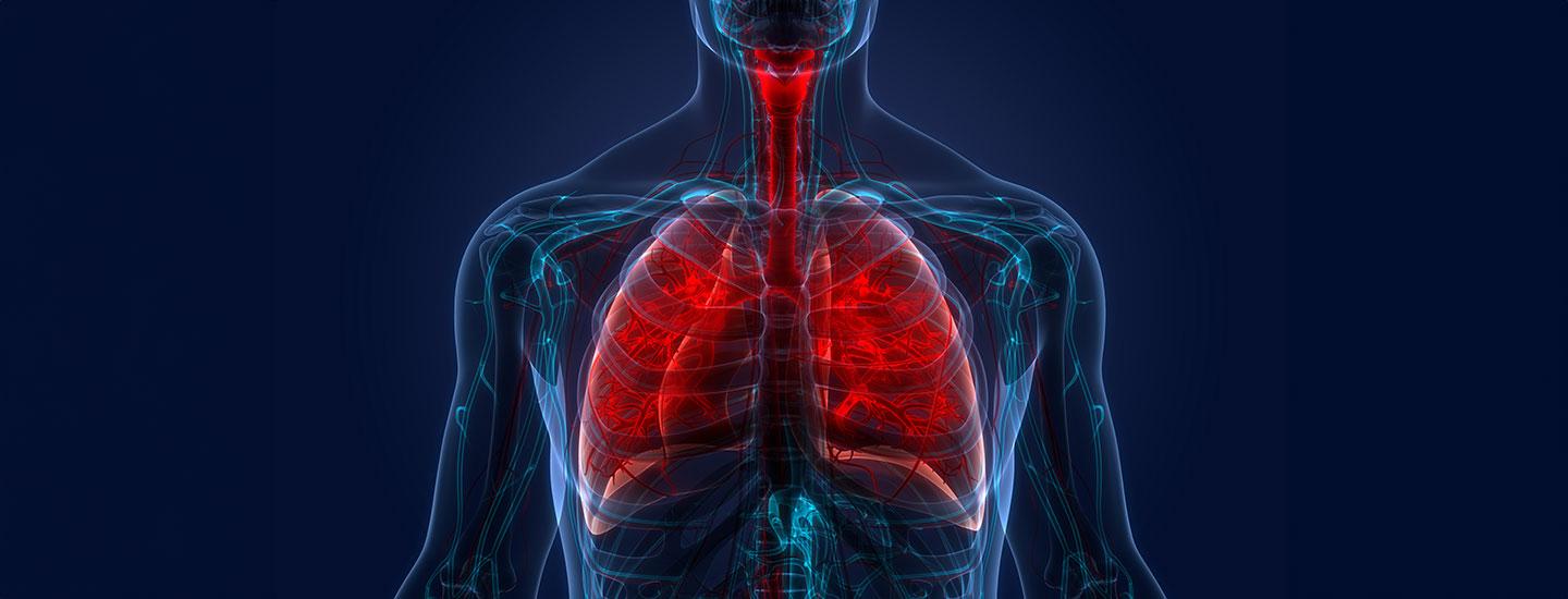 世界博彩公司十大排名肺脏学更好呼吸俱乐部